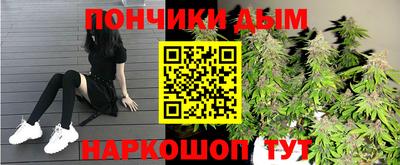 крисы Новозыбков