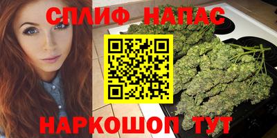 крисы Новозыбков